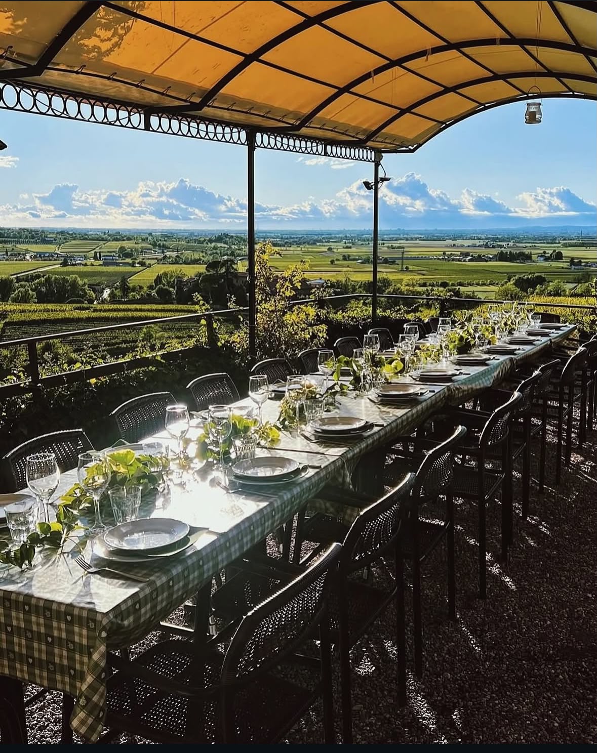 Terrazza panoramica della Trattoria Alla Pineta con vista sui vigneti